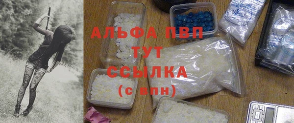 a pvp Корсаков