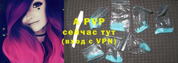 a pvp Корсаков