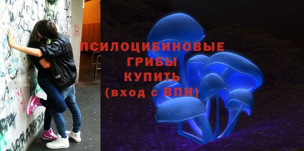 стаф Коряжма