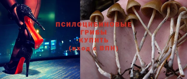 a pvp Корсаков