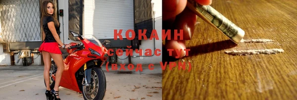 стаф Коряжма