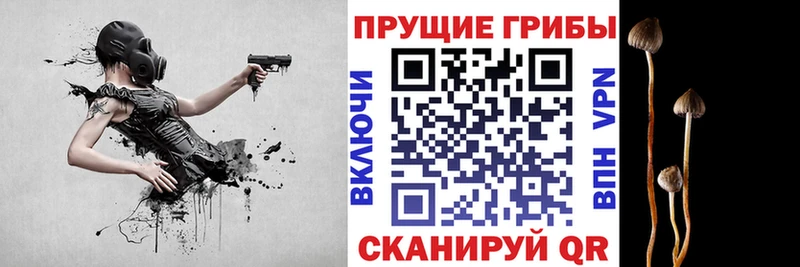 Купить  Кузнецк  Галлюциногенные грибы мухоморы 