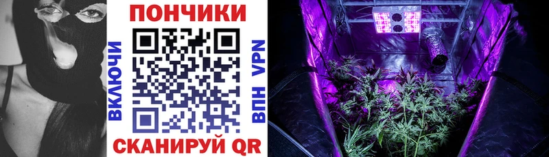 Купить закладки  Кузнецк  Канабис THC 21% 